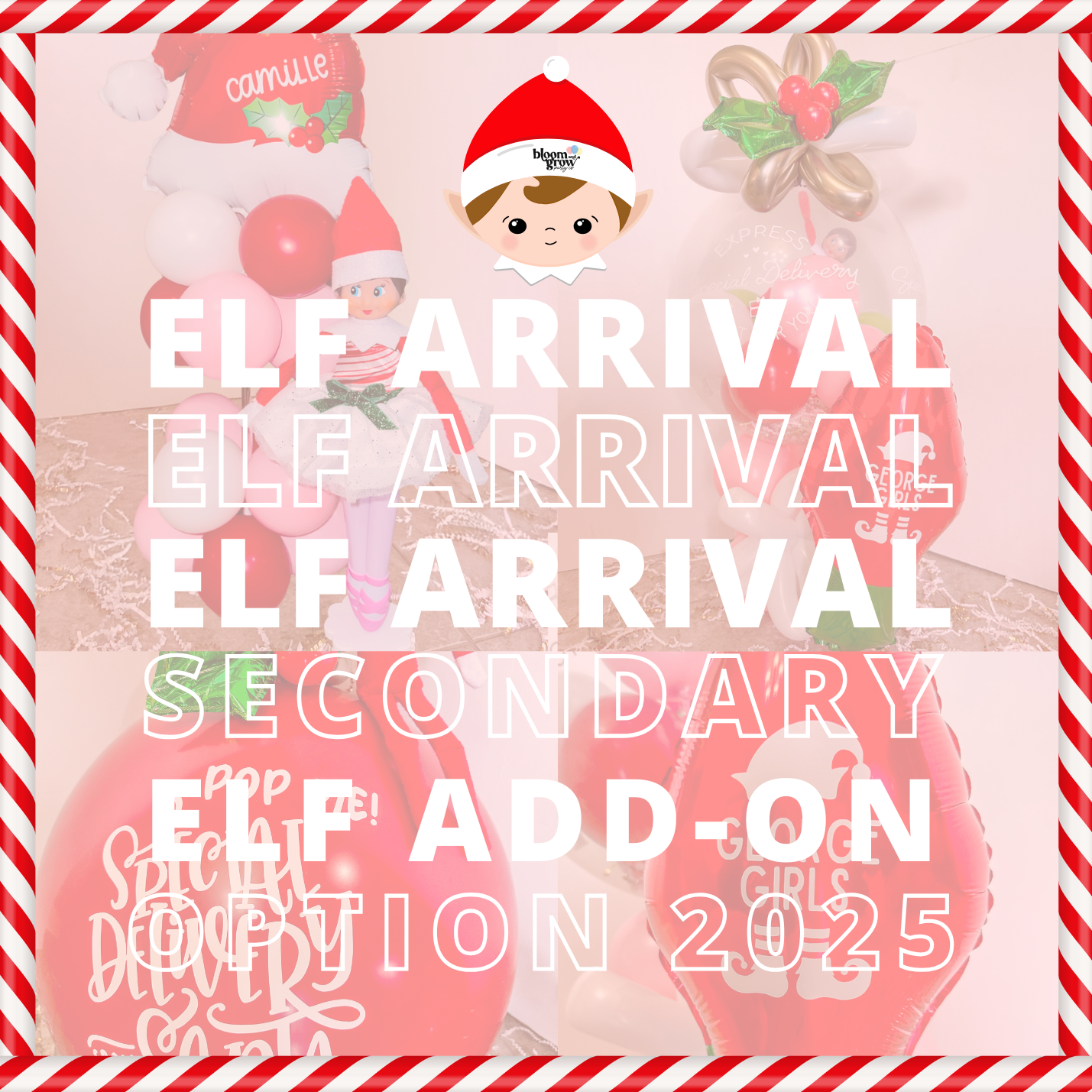 Secondary Elf Add-On (Includes 1 Additional Vinyl Personalization)