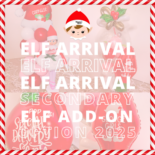 Secondary Elf Add-On (Includes 1 Additional Vinyl Personalization)